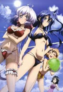 Senki Zesshou Symphogear G OVA 